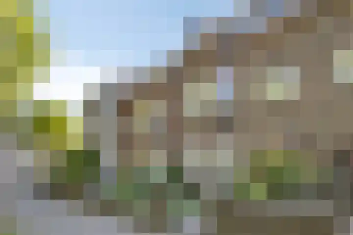 Koning Clovisstraat 47 Maastricht thumbnail 37