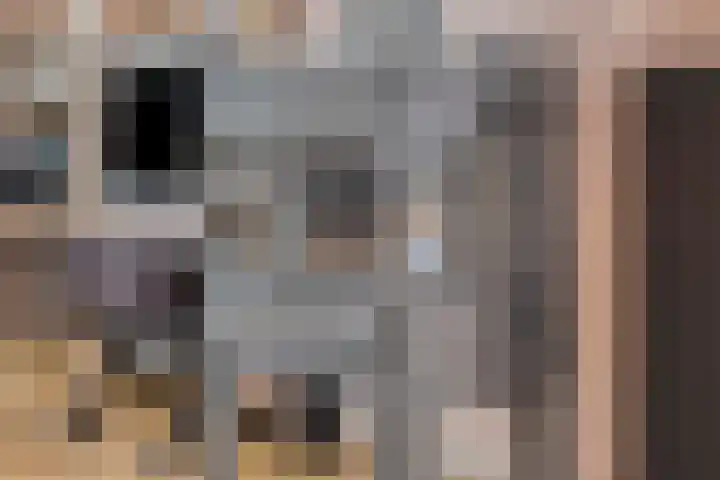 Koning Clovisstraat 47 Maastricht thumbnail 8