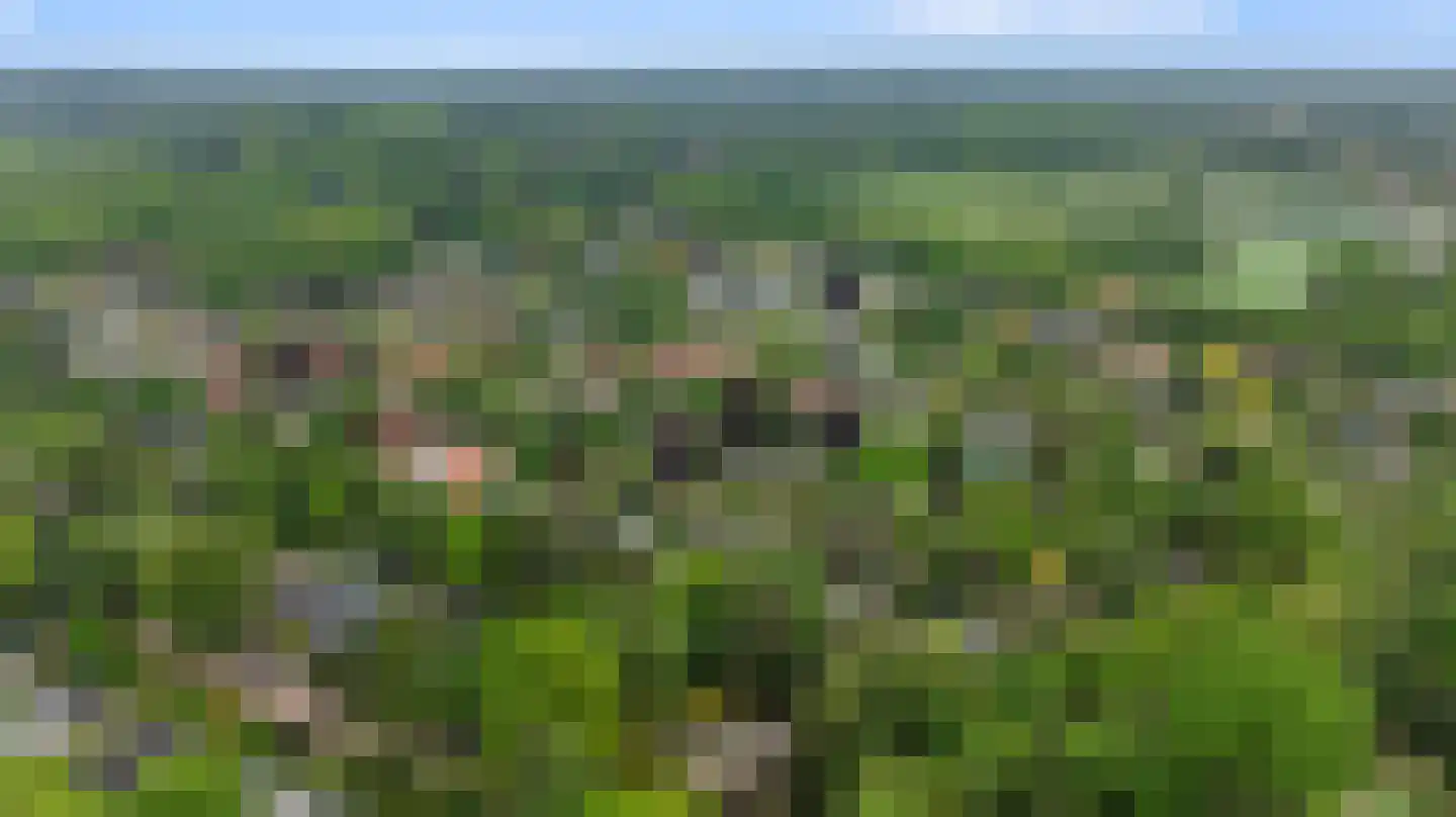 Koning Davidlaan 12 Heilig Landstichting thumbnail 12