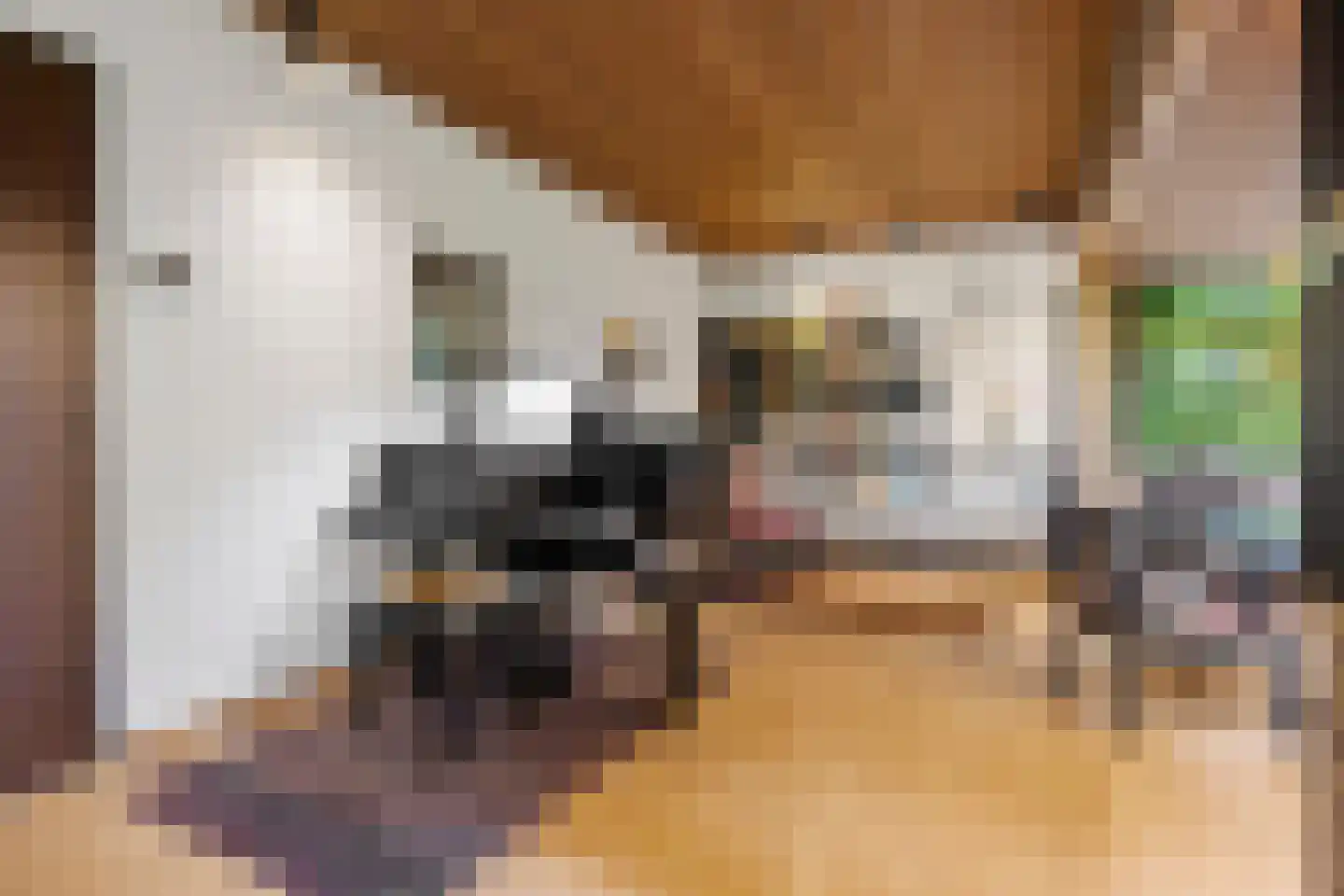 Koning Davidlaan 12 Heilig Landstichting thumbnail 20
