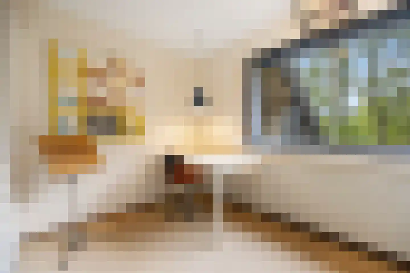 Koning Davidlaan 12 Heilig Landstichting thumbnail 34