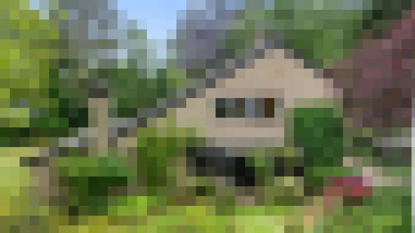 Koning Davidlaan 12 Heilig Landstichting thumbnail 5