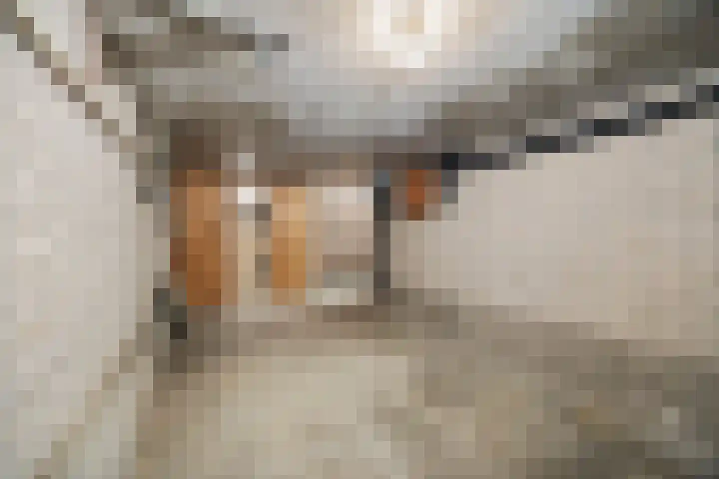 Koning Davidlaan 12 Heilig Landstichting thumbnail 50
