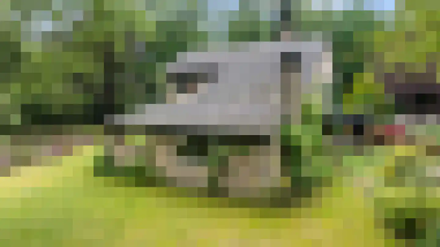 Koning Davidlaan 12 Heilig Landstichting thumbnail 6