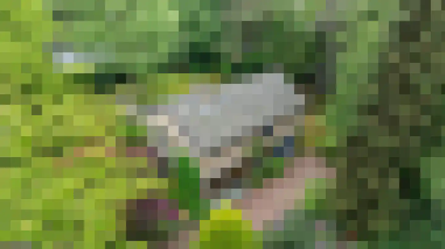 Koning Davidlaan 12 Heilig Landstichting thumbnail 8