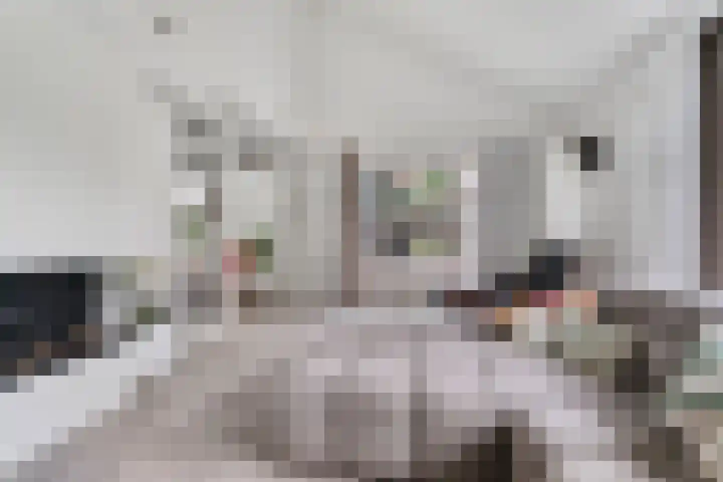 Koning Davidlaan 14 Heilig Landstichting thumbnail 11