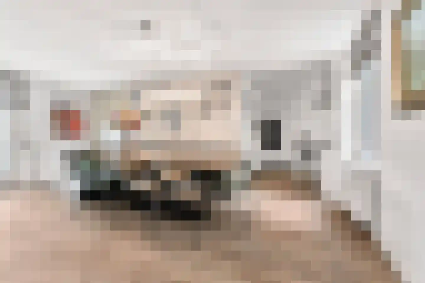 Koning Davidlaan 14 Heilig Landstichting thumbnail 12