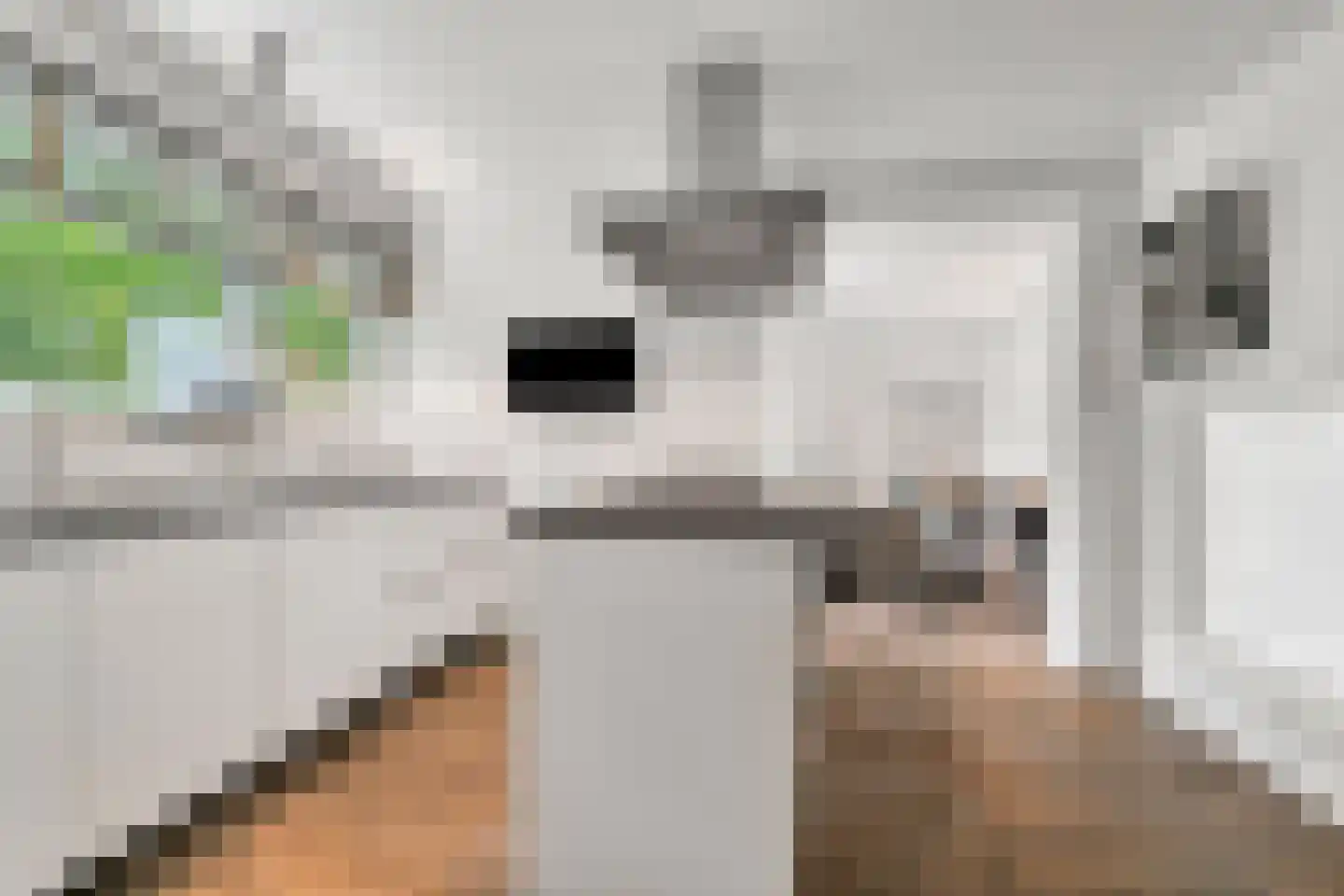 Koning Davidlaan 14 Heilig Landstichting thumbnail 14