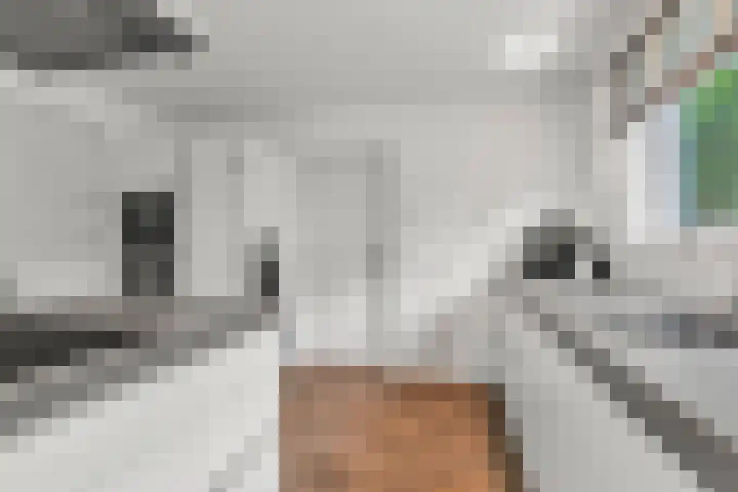 Koning Davidlaan 14 Heilig Landstichting thumbnail 15