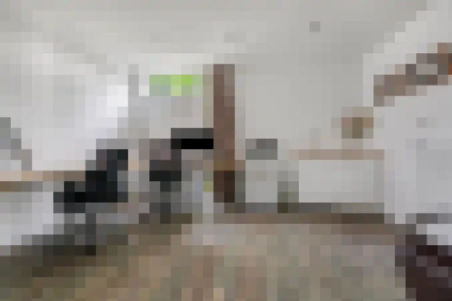 Koning Davidlaan 14 Heilig Landstichting thumbnail 18