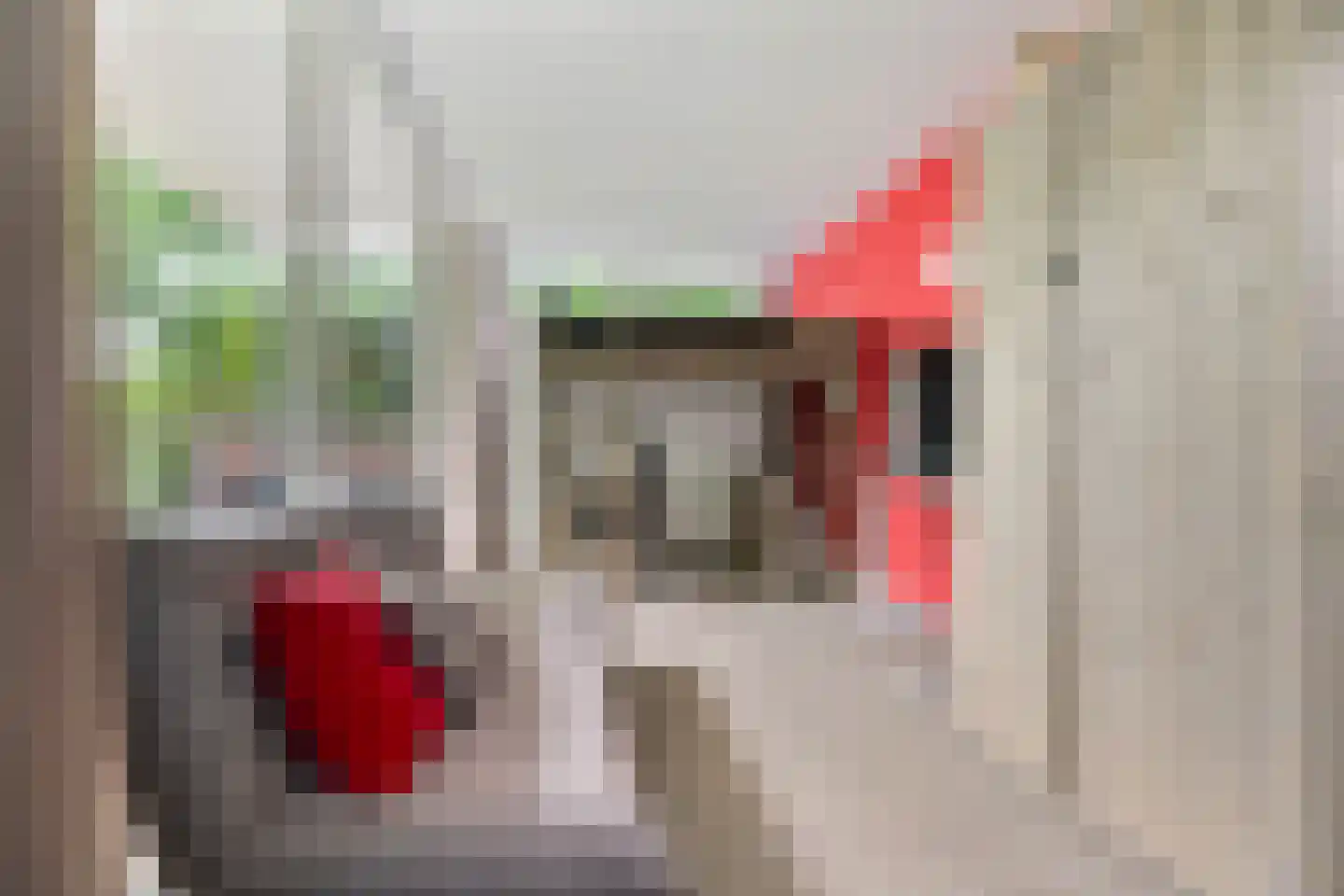 Koning Davidlaan 14 Heilig Landstichting thumbnail 19