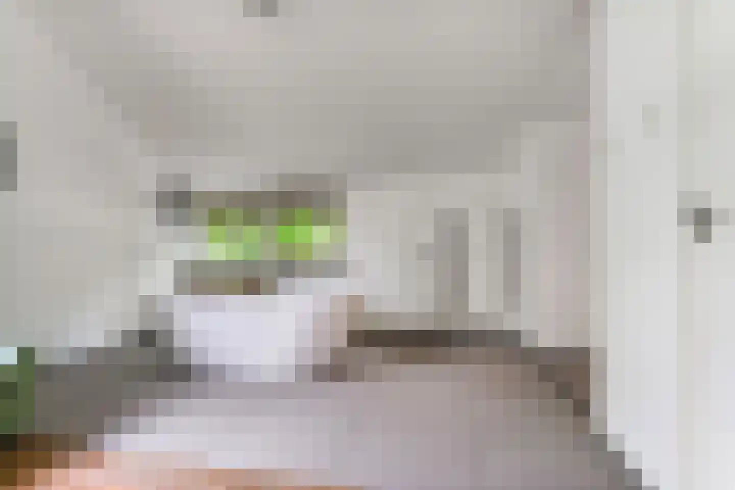 Koning Davidlaan 14 Heilig Landstichting thumbnail 29