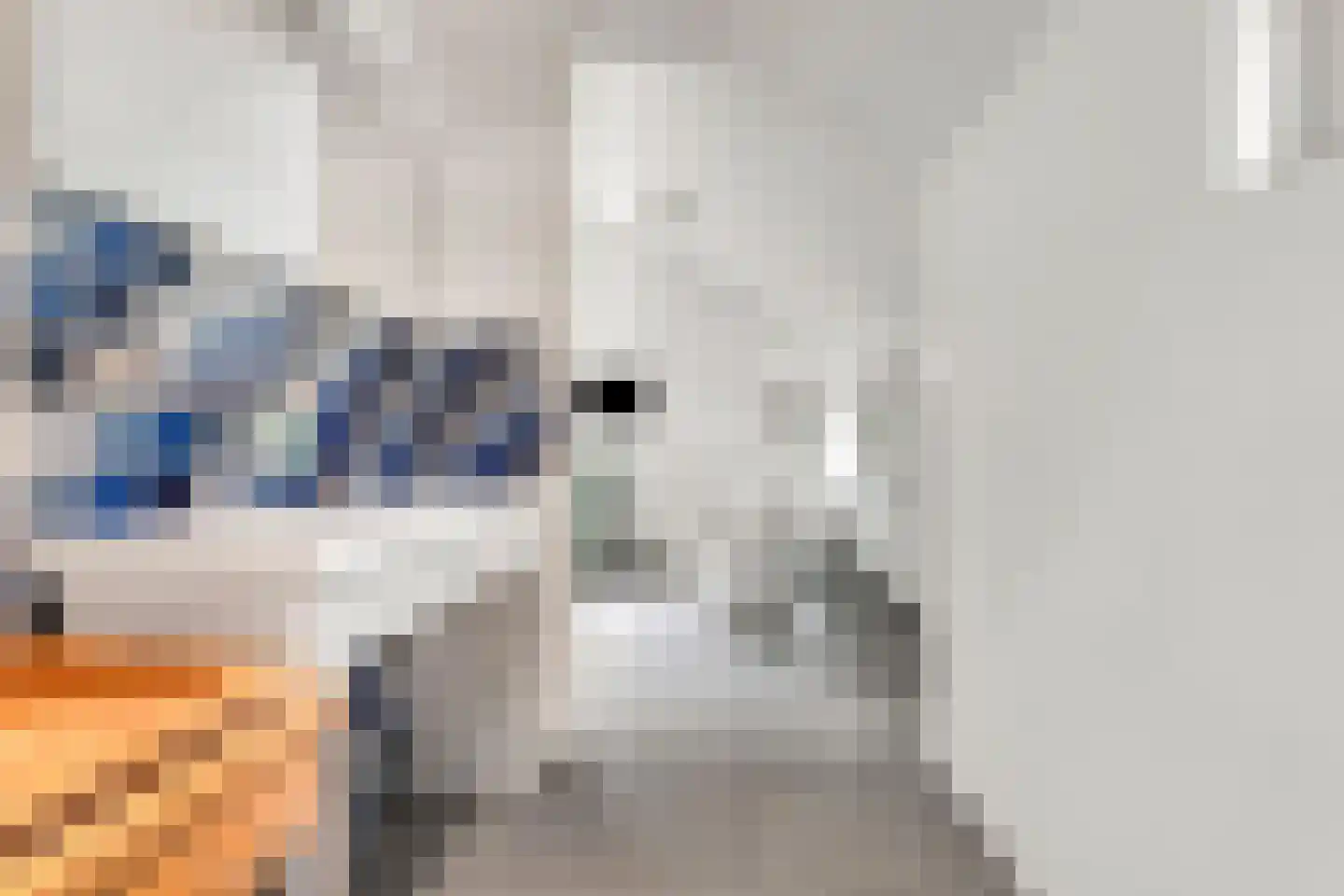 Koning Davidlaan 14 Heilig Landstichting thumbnail 31