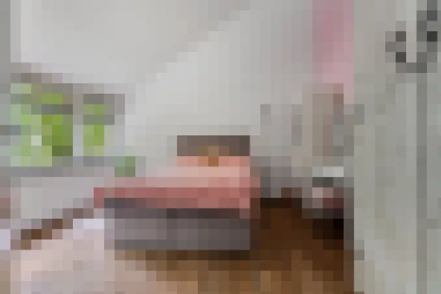 Koning Davidlaan 14 Heilig Landstichting thumbnail 32