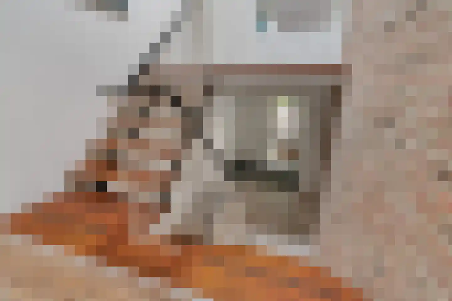 Koning Davidlaan 14 Heilig Landstichting thumbnail 4