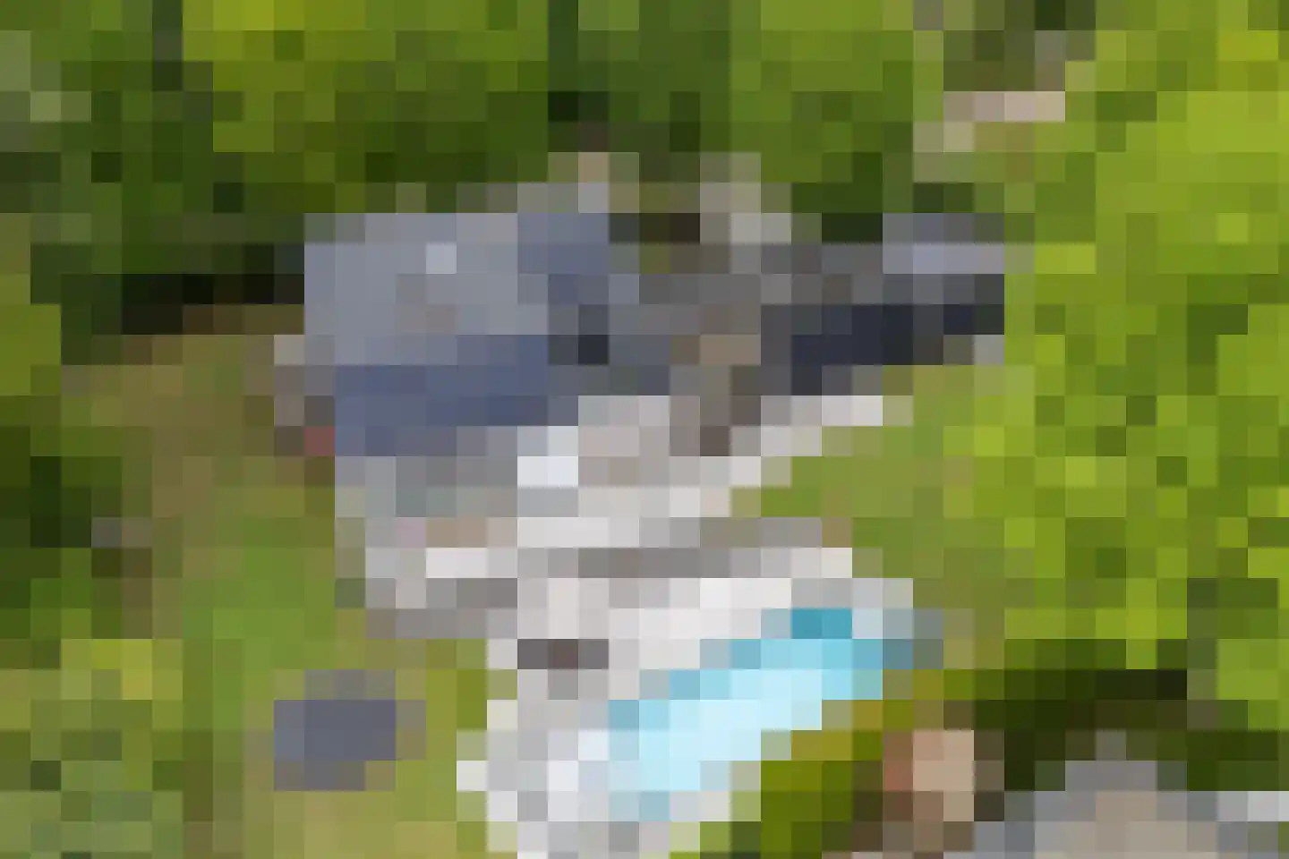 Koning Davidlaan 14 Heilig Landstichting thumbnail 43