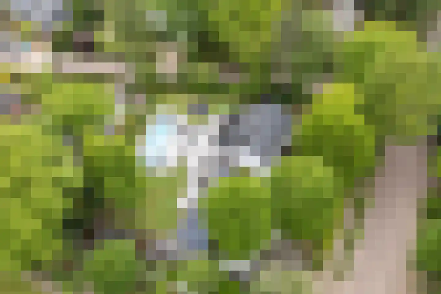 Koning Davidlaan 14 Heilig Landstichting thumbnail 44