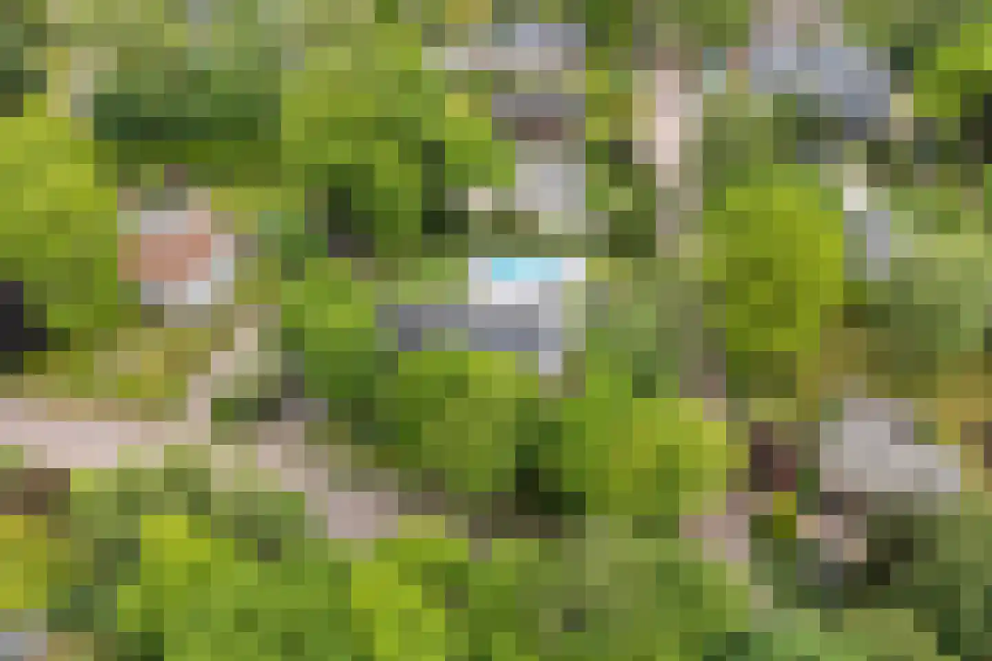 Koning Davidlaan 14 Heilig Landstichting thumbnail 45