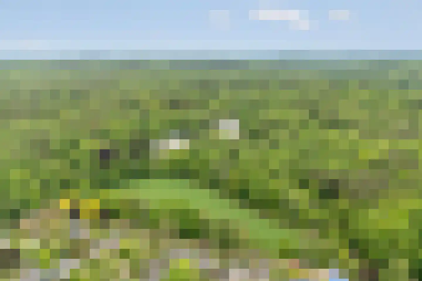 Koning Davidlaan 14 Heilig Landstichting thumbnail 46