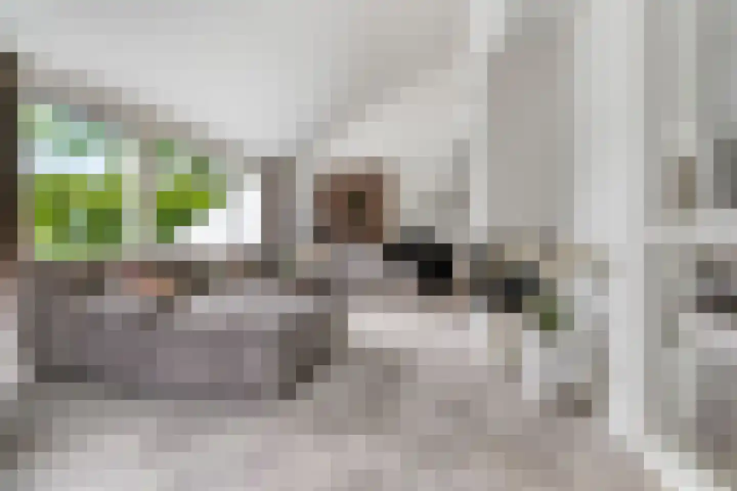 Koning Davidlaan 14 Heilig Landstichting thumbnail 9