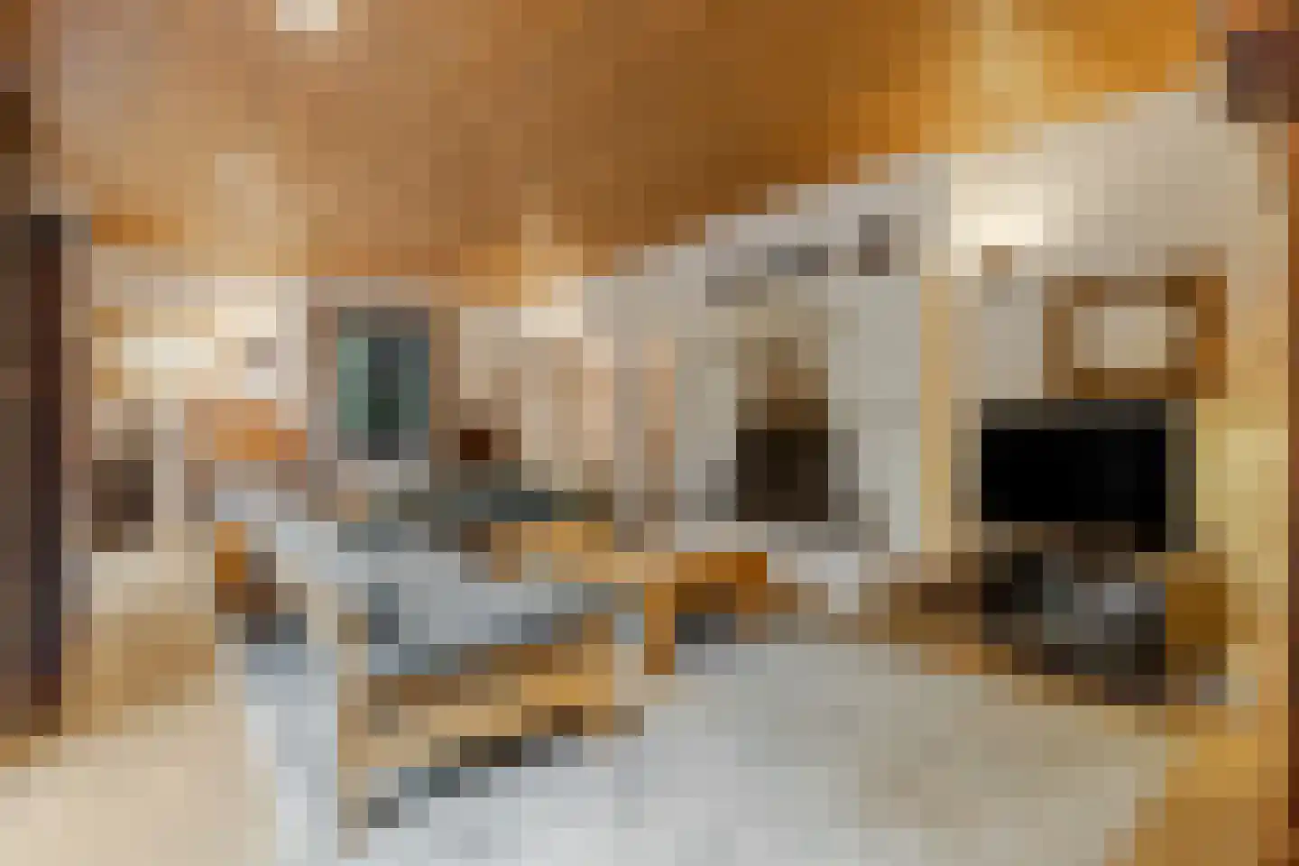 Koning Davidlaan 23 Heilig Landstichting thumbnail 11