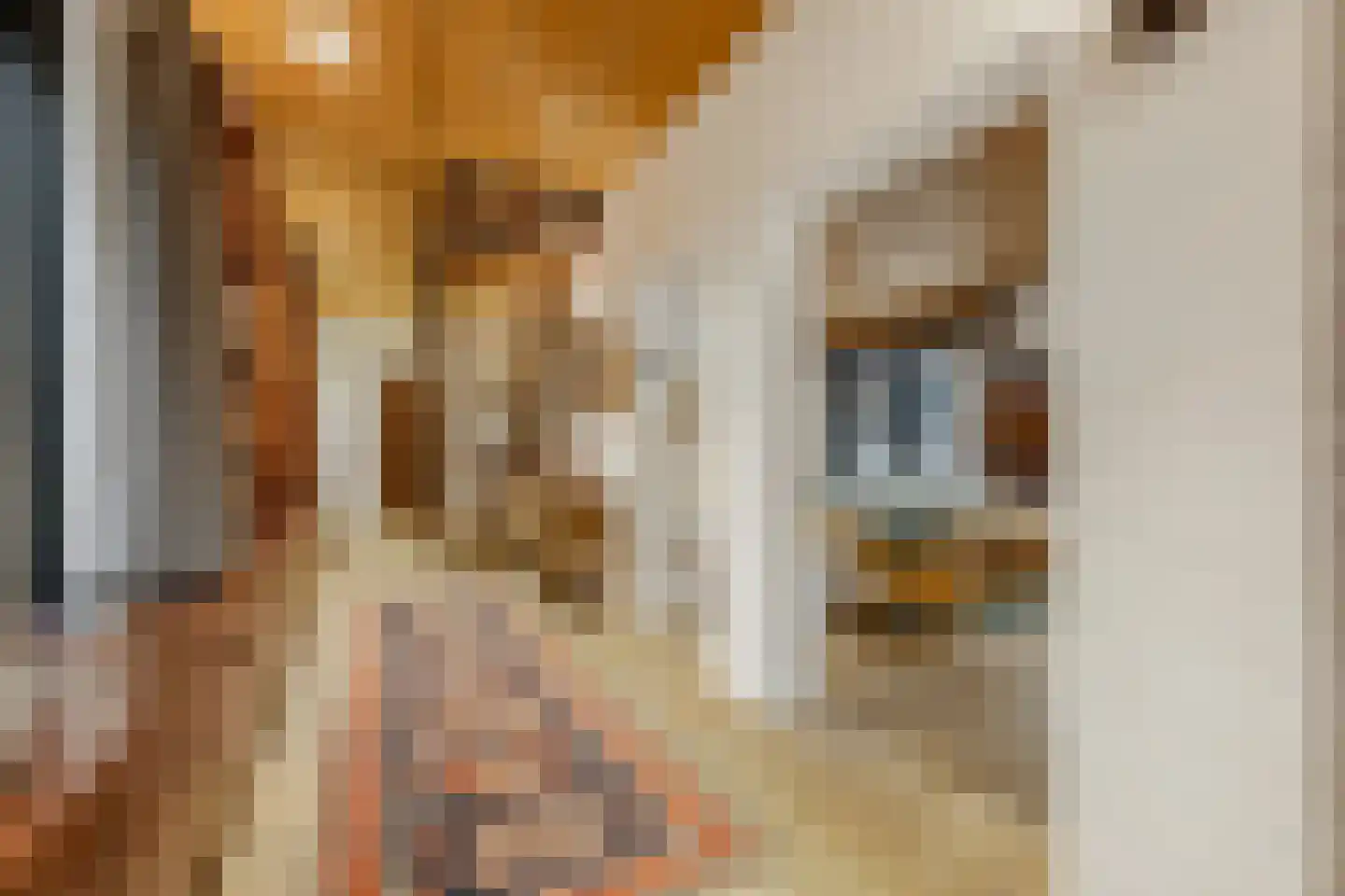 Koning Davidlaan 23 Heilig Landstichting thumbnail 14