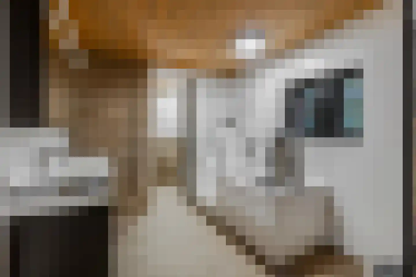 Koning Davidlaan 23 Heilig Landstichting thumbnail 19