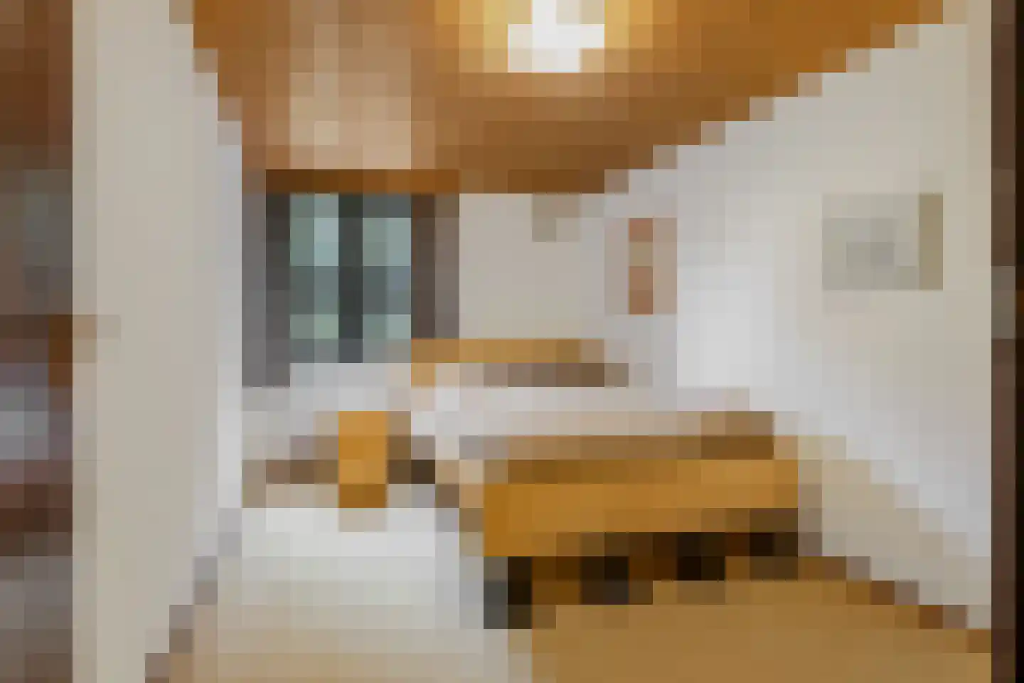 Koning Davidlaan 23 Heilig Landstichting thumbnail 21