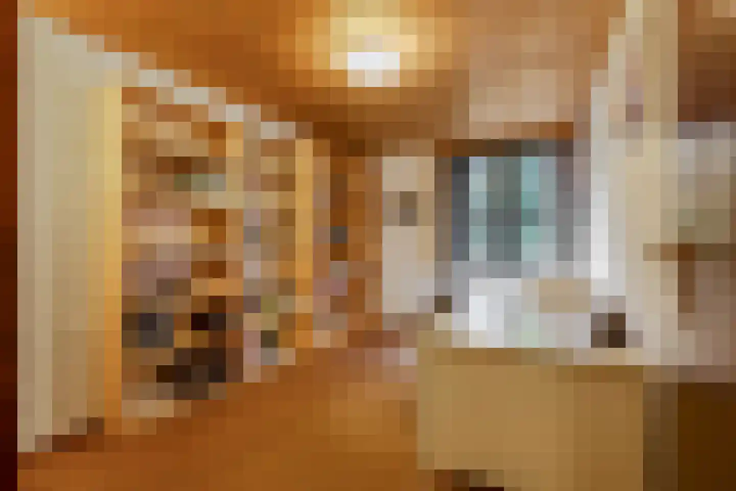 Koning Davidlaan 23 Heilig Landstichting thumbnail 22