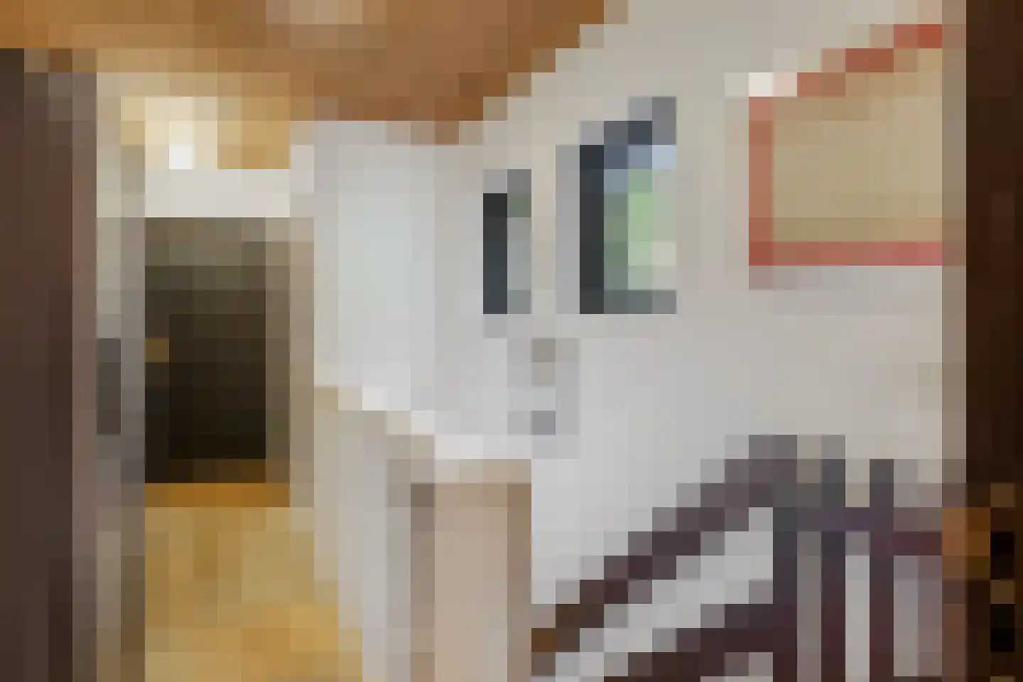 Koning Davidlaan 23 Heilig Landstichting thumbnail 24
