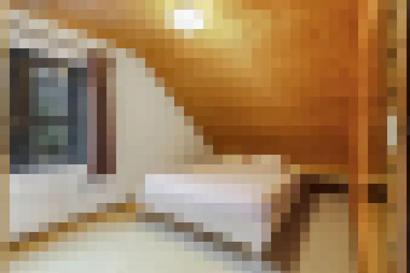 Koning Davidlaan 23 Heilig Landstichting thumbnail 25
