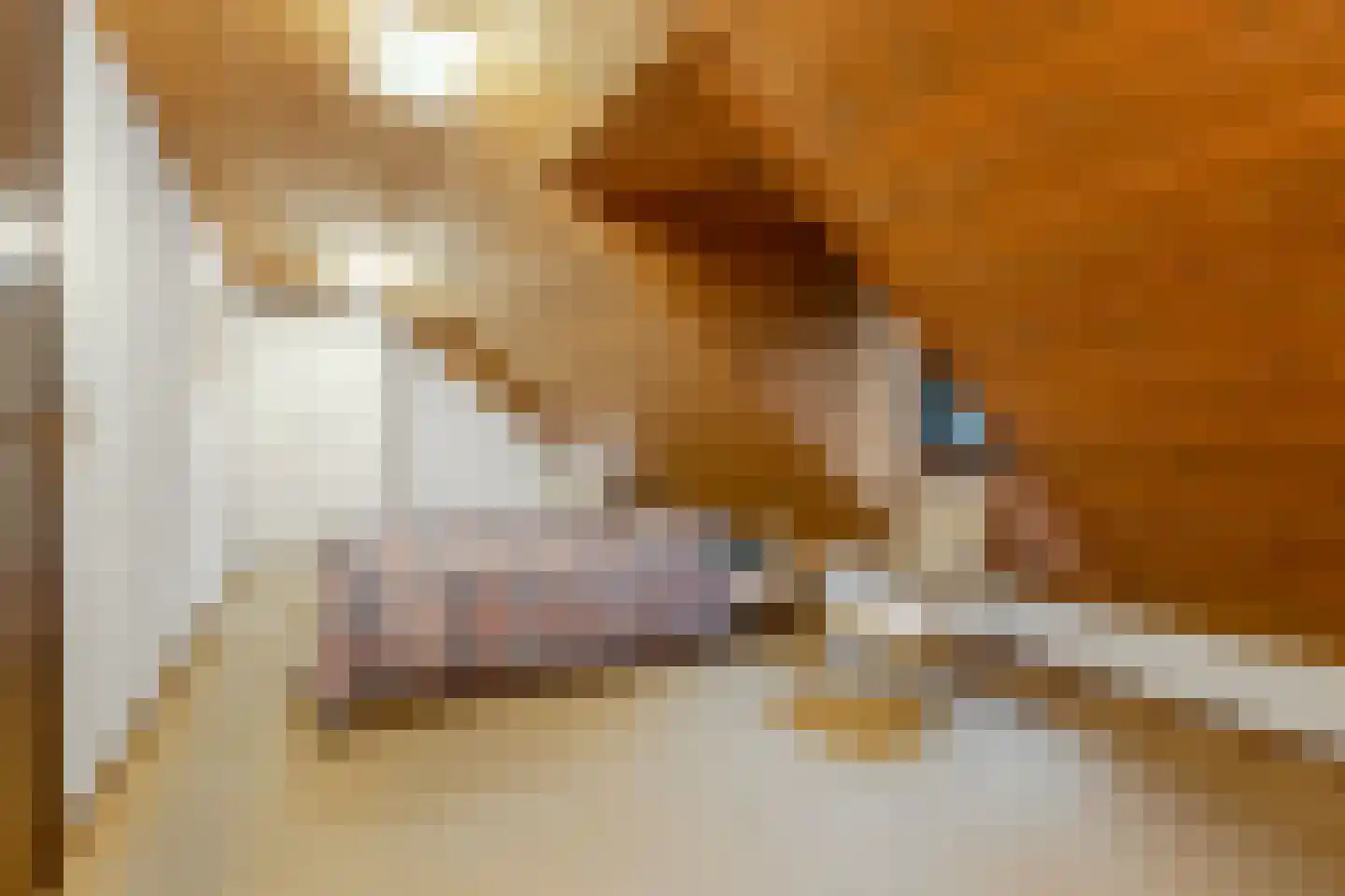 Koning Davidlaan 23 Heilig Landstichting thumbnail 26