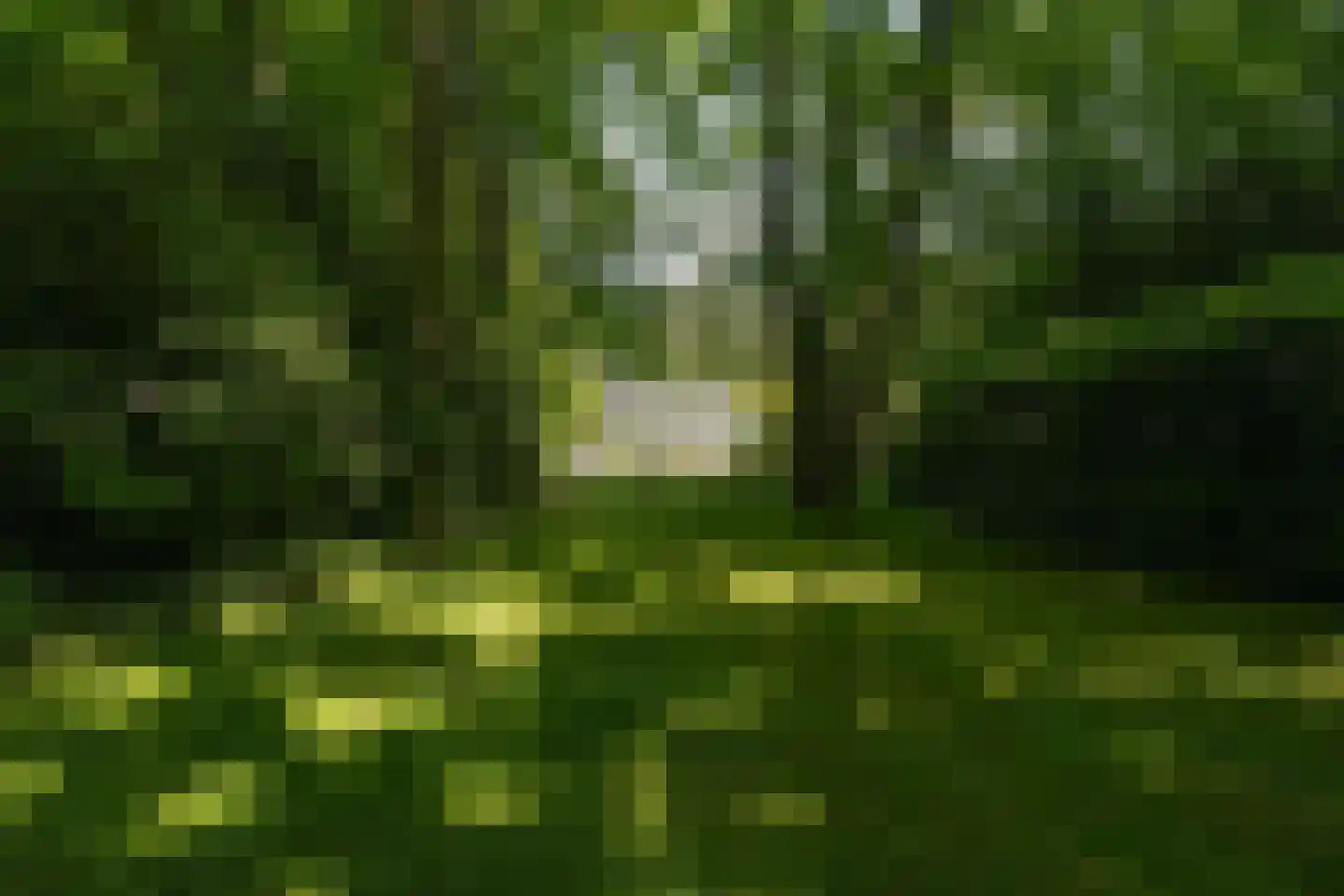 Koning Davidlaan 23 Heilig Landstichting thumbnail 31