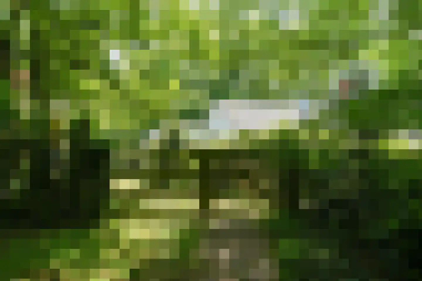 Koning Davidlaan 23 Heilig Landstichting thumbnail 32