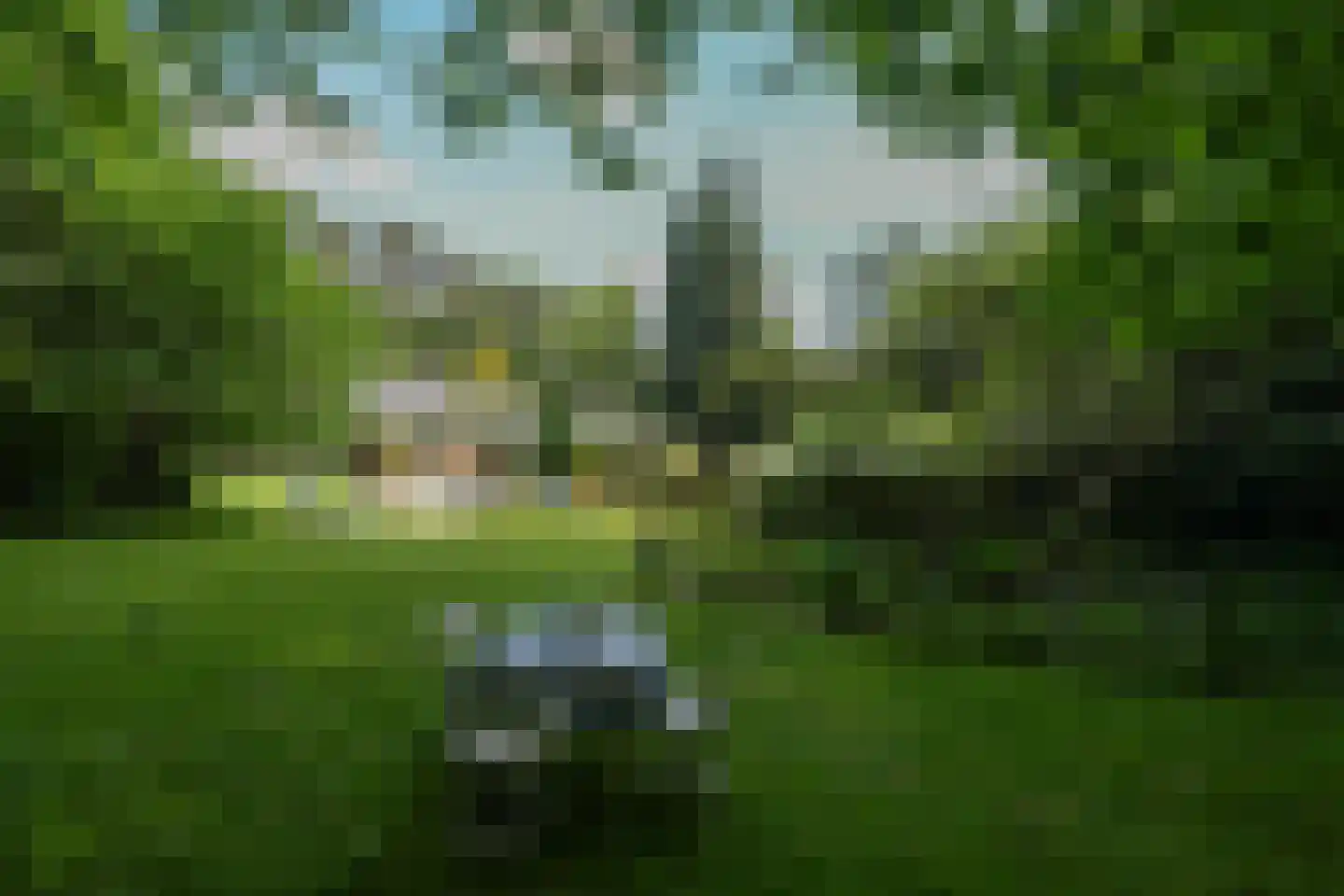 Koning Davidlaan 23 Heilig Landstichting thumbnail 33