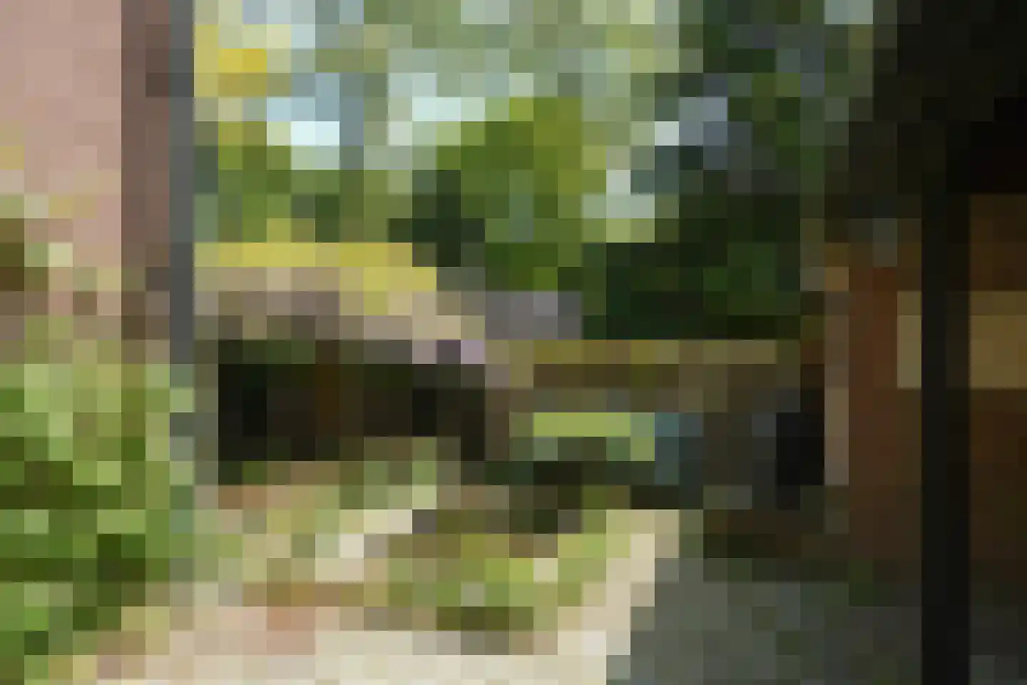 Koning Davidlaan 23 Heilig Landstichting thumbnail 34