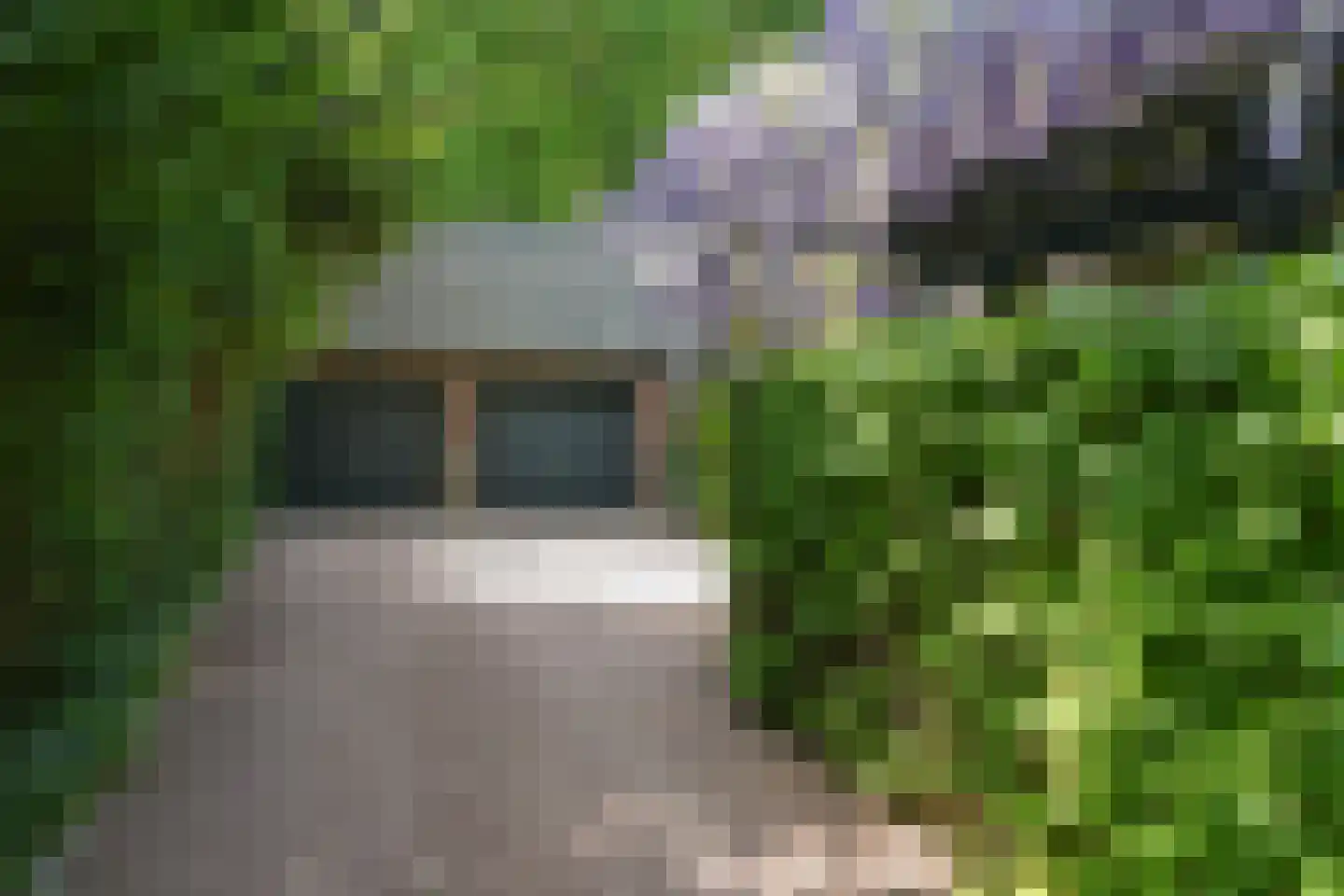 Koning Davidlaan 23 Heilig Landstichting thumbnail 38