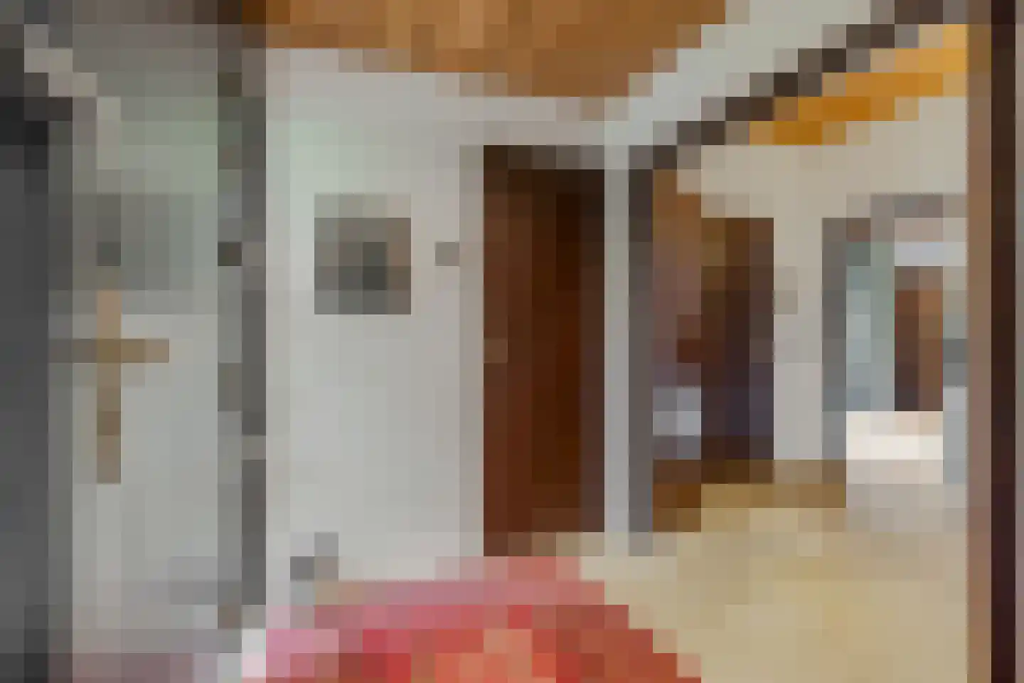 Koning Davidlaan 23 Heilig Landstichting thumbnail 4