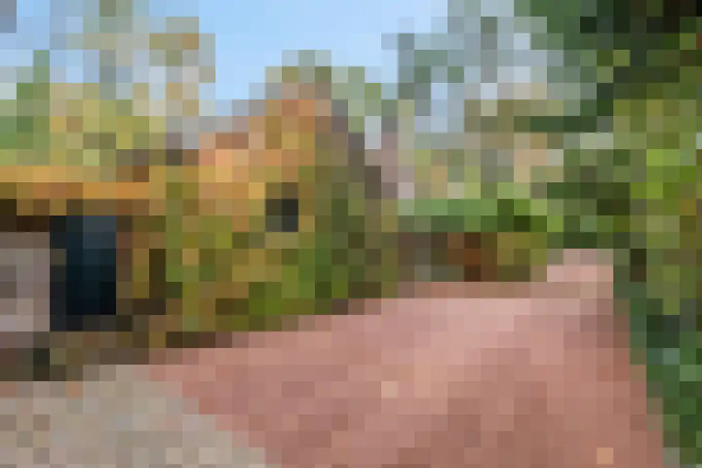 Koning Davidlaan 23 Heilig Landstichting thumbnail 40