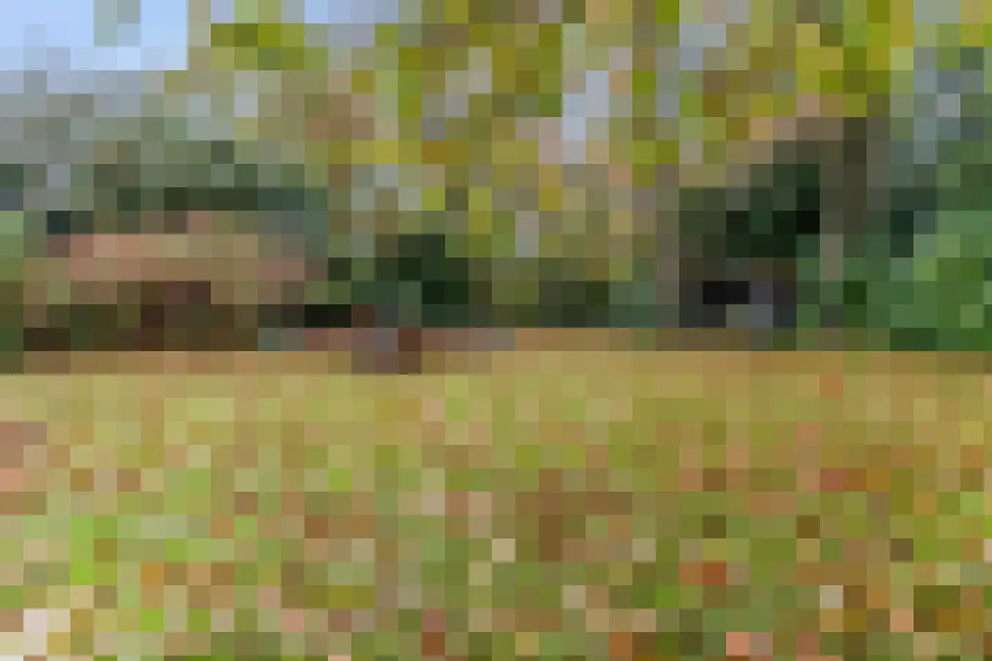 Koning Davidlaan 23 Heilig Landstichting thumbnail 41