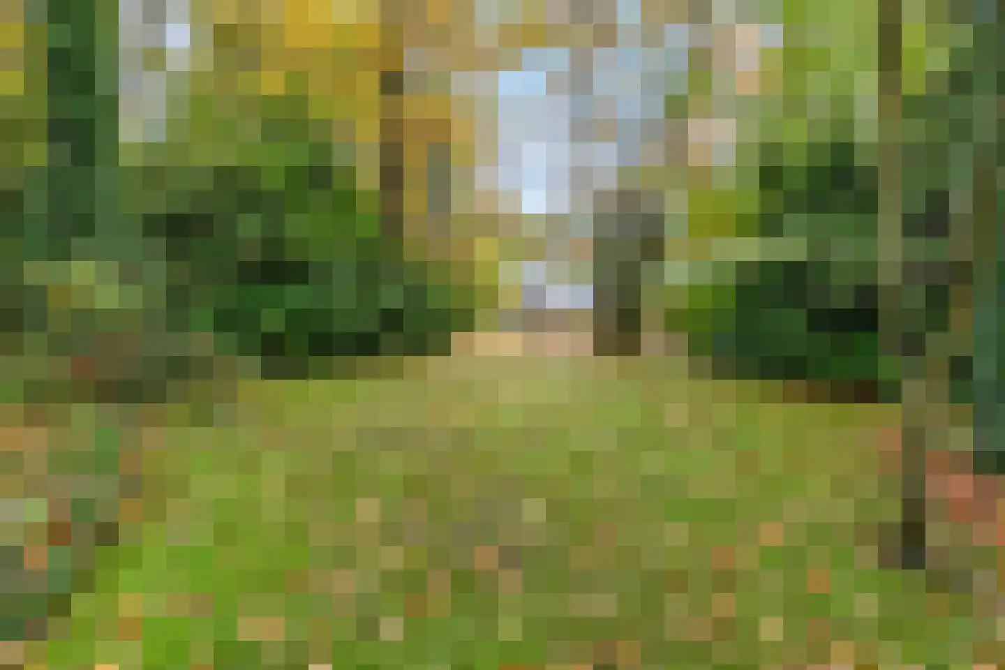 Koning Davidlaan 23 Heilig Landstichting thumbnail 42