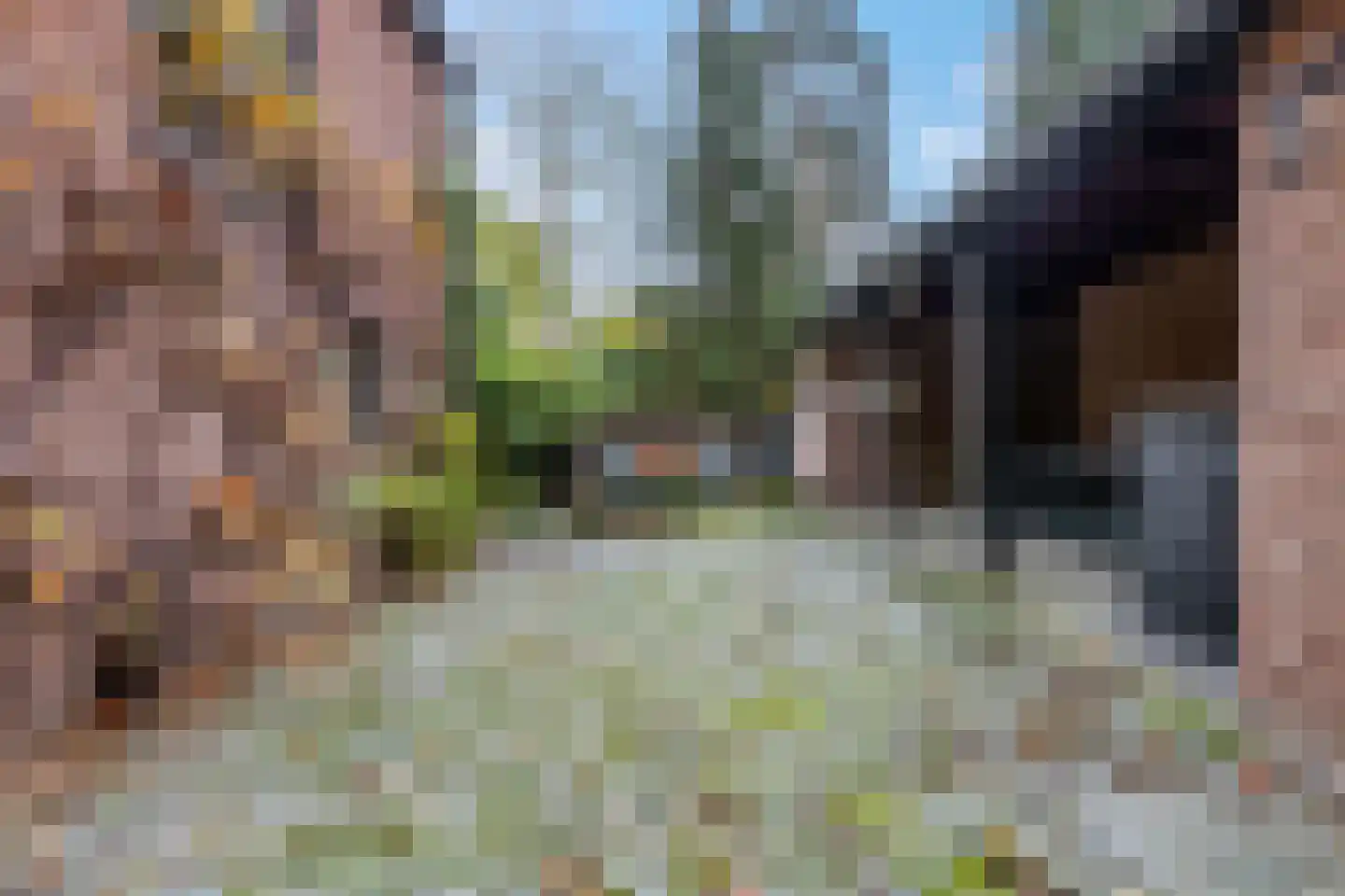 Koning Davidlaan 23 Heilig Landstichting thumbnail 43