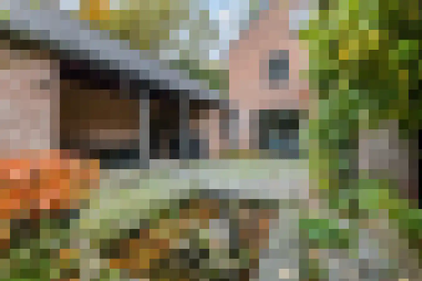 Koning Davidlaan 23 Heilig Landstichting thumbnail 44