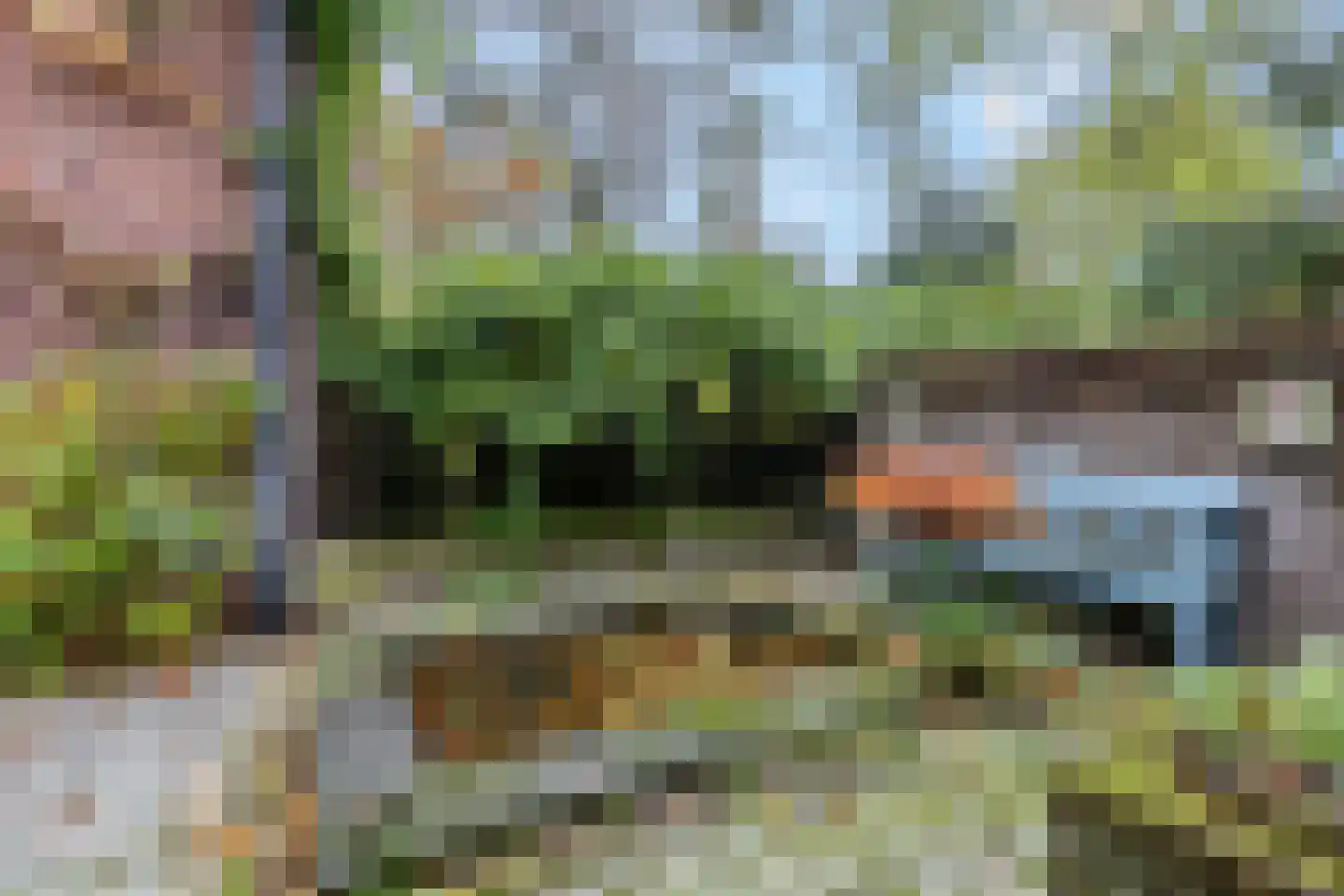 Koning Davidlaan 23 Heilig Landstichting thumbnail 46