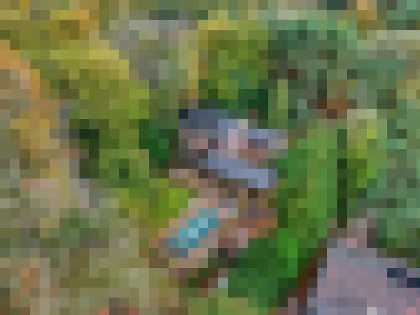 Koning Davidlaan 23 Heilig Landstichting thumbnail 47