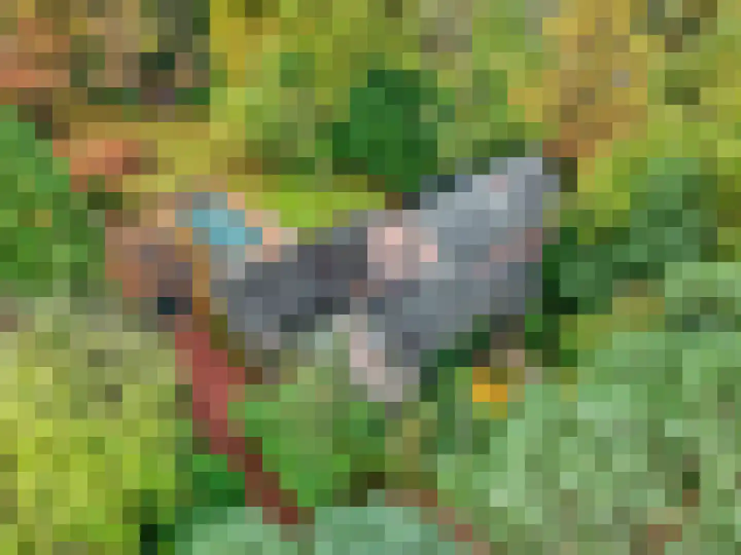 Koning Davidlaan 23 Heilig Landstichting thumbnail 48