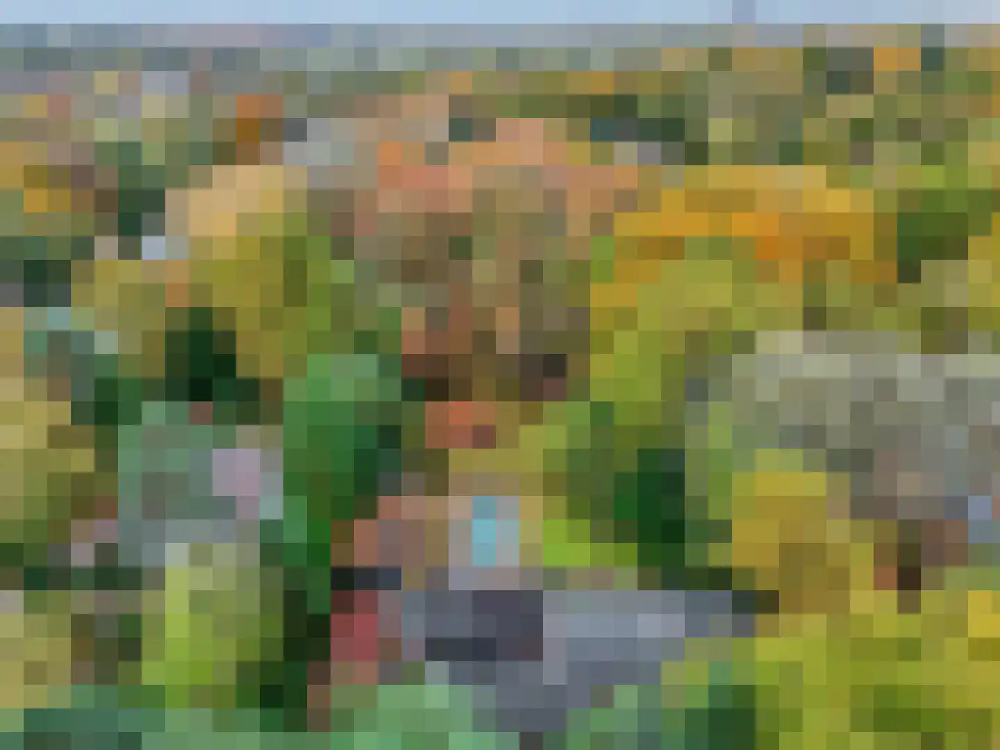 Koning Davidlaan 23 Heilig Landstichting thumbnail 49
