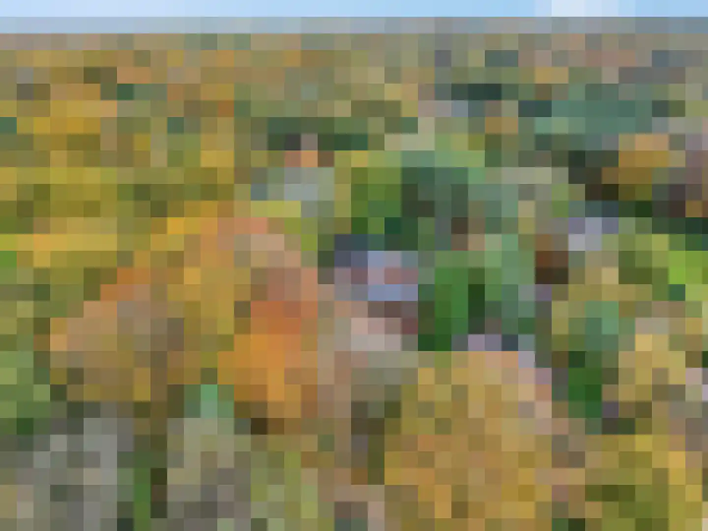 Koning Davidlaan 23 Heilig Landstichting thumbnail 50