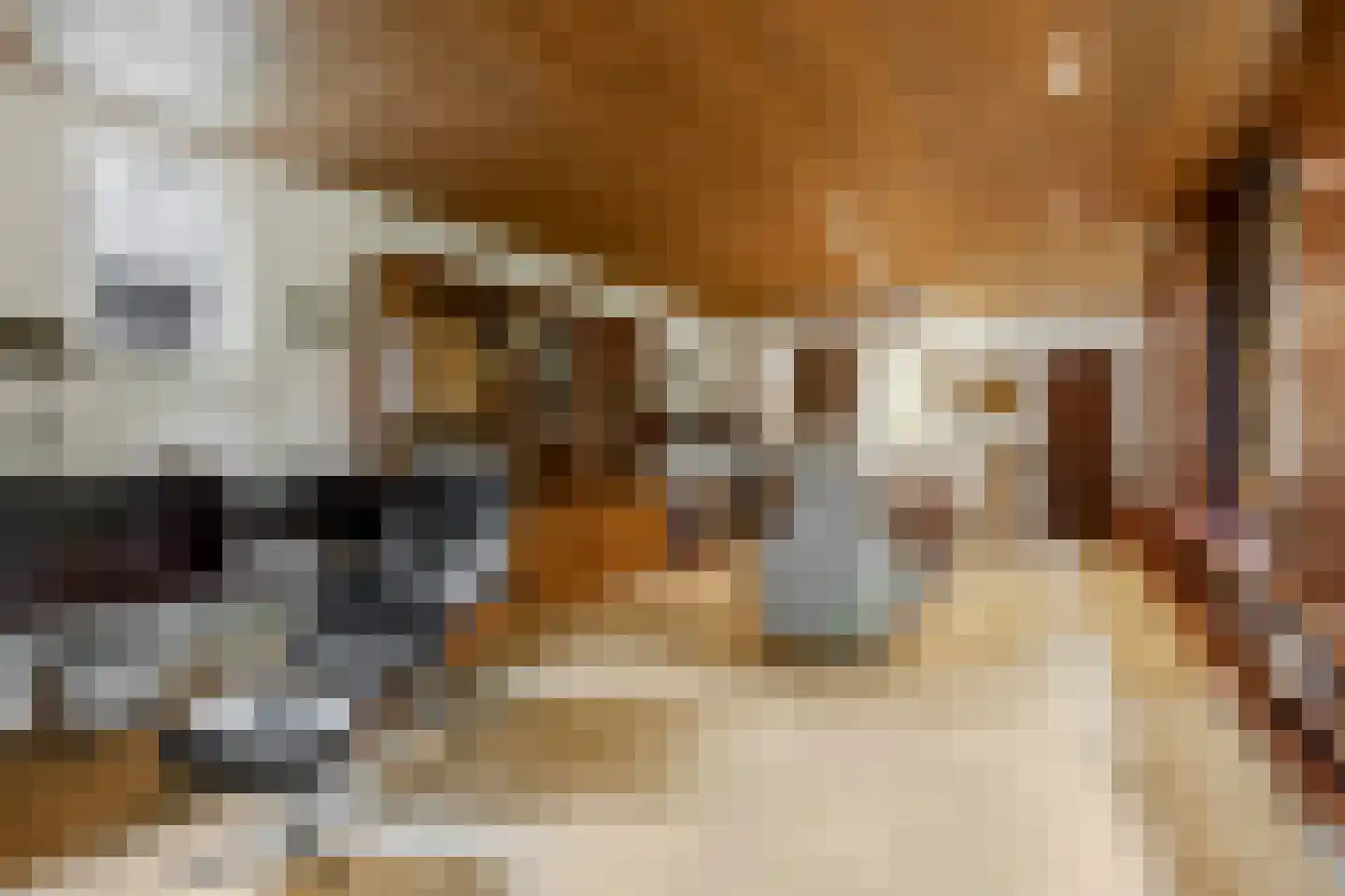 Koning Davidlaan 23 Heilig Landstichting thumbnail 8