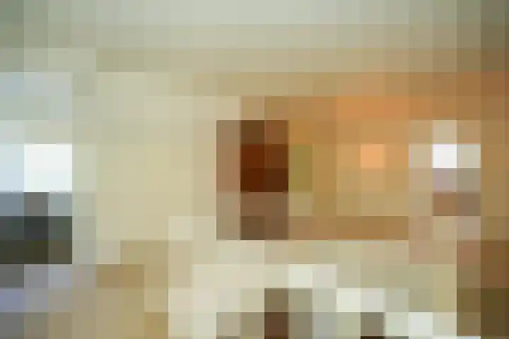 Koning Davidlaan 30 Heilig Landstichting thumbnail 11